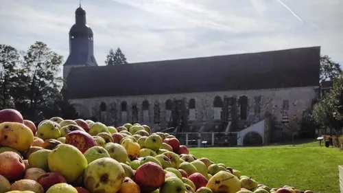 Thiron-Gardais : les pommes sont pressées, dépêchons-nous d’acheter...